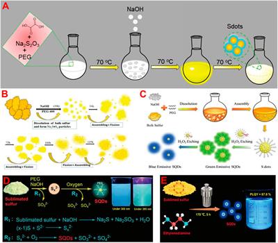 Synthesis of Fluorescent Sulfur Quantum Dots for Bioimaging and Biosensing